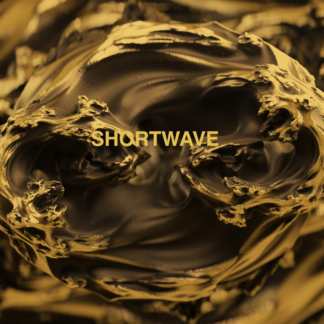 Cover of the Shortwave album, released  on November 28th 2024